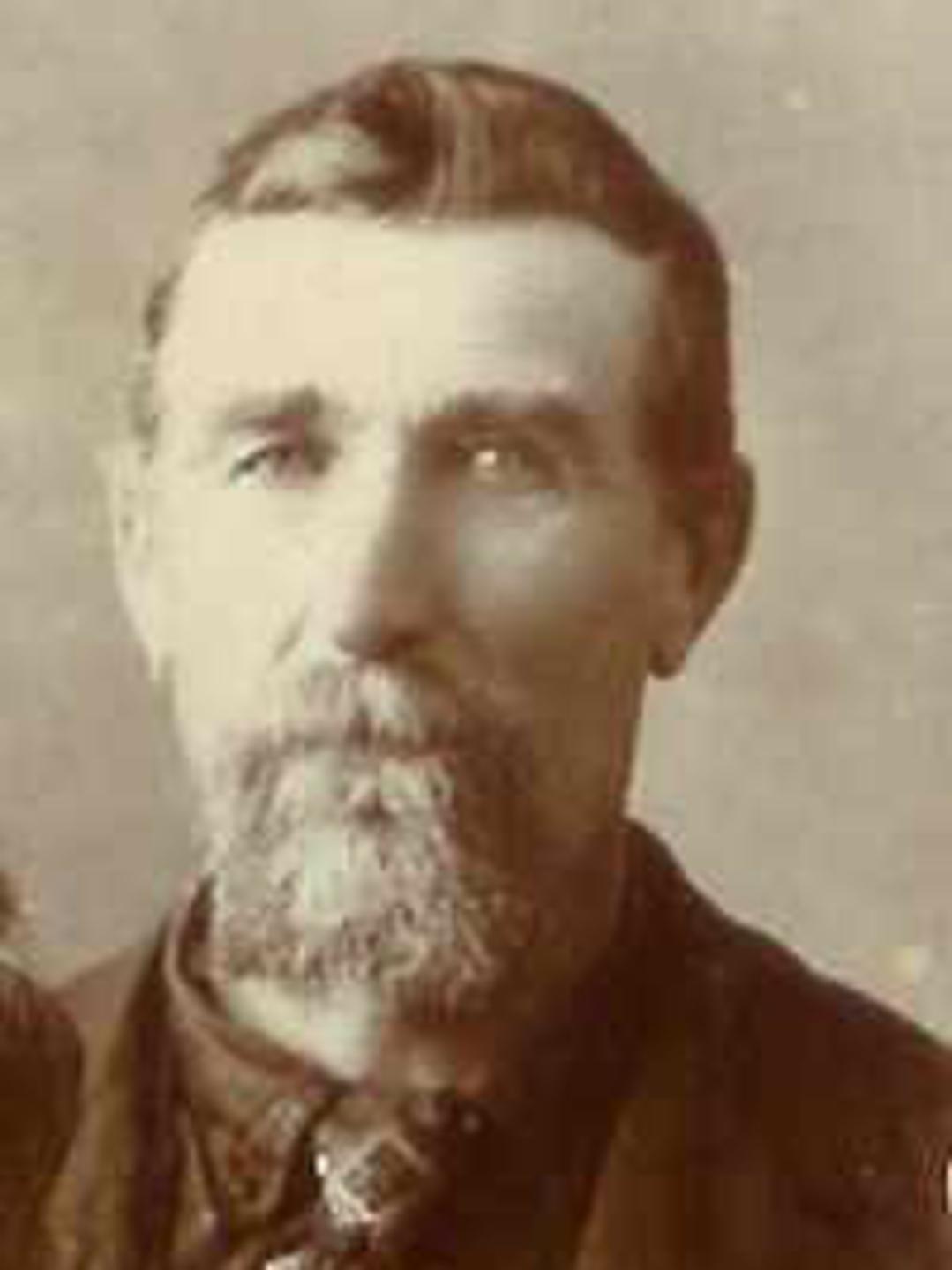 Henry Franklin Spidell (1843 - 1920) Profile